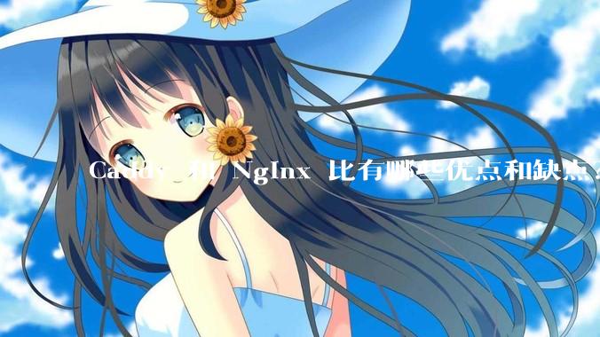 Caddy 和 Nginx 比有哪些优点和缺点？